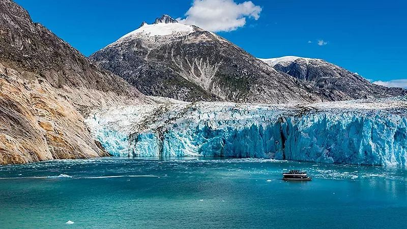 Alaska Glacier & Wildlife Cruise